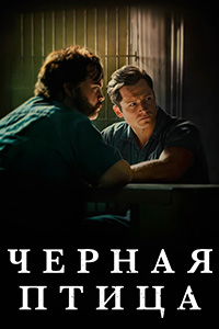 ������ ׸���� ����� �� DVD