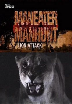 ������ � ������� ������� �� DVD