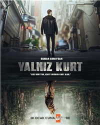 ������ �������� ���� �� DVD