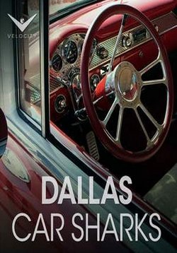 ������ ����� ���������� �� ������� �� DVD