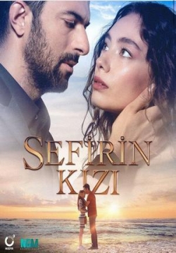 ������ ���� ����� �� DVD