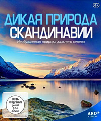 ������ ����� ������� ����������� �� DVD