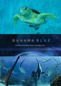 ������ ������� ������ �� DVD