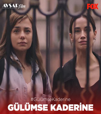 ������ �������� ����� ������ �� DVD