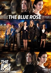 ������ ������� ���� �� DVD