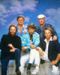 Beach Boys  dvd. Beach Boys  DVD(9.)
