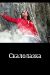 ������ ���������� �� DVD(2�.)