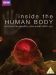 Внутри человеческого тела на DVD(8д.)