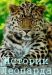 Сериал Истории Леопарда на DVD(2д.)