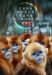 ������ ���� �����, ���� ������� �� DVD(2�.)