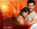 ������ ������ �����\De pura sangre �� DVD(10�.)