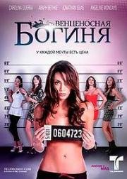 ������ ����������� ������ �� DVD